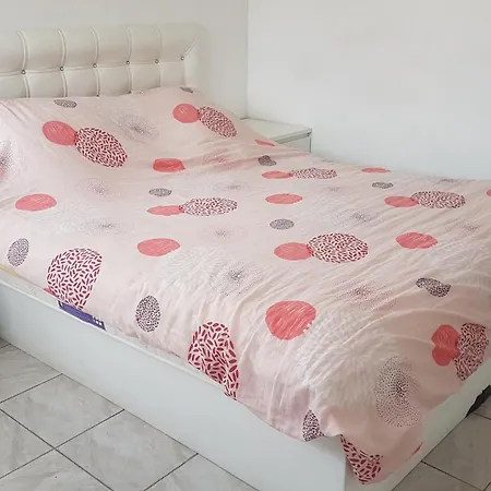 Family * 쉴티그하임